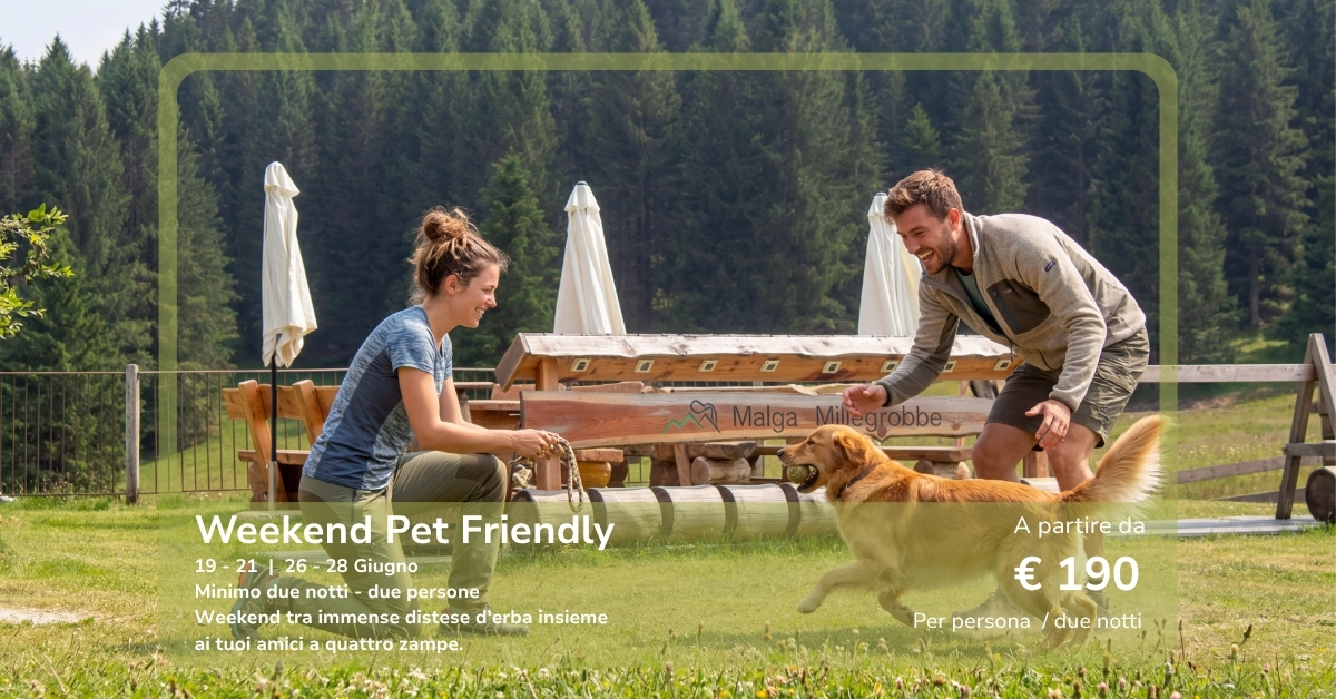 Week End Pet Friendly - Malga Millegrobbe
